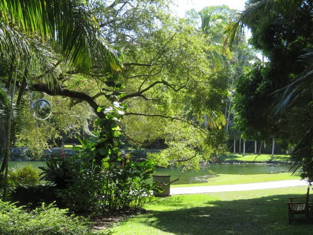 Fairchild Tropical Botanic Garden - Image 1
