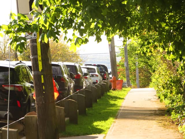 Novalea Drive Tree-Lined Path - Image 1