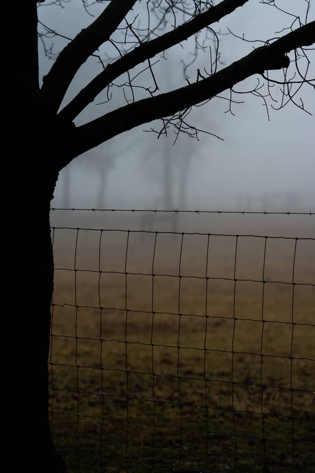 Misty Carroll Countryside - Image 1