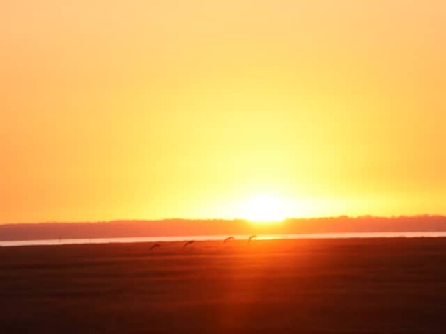 Barnegat Bay Salt Marshes - Image 1