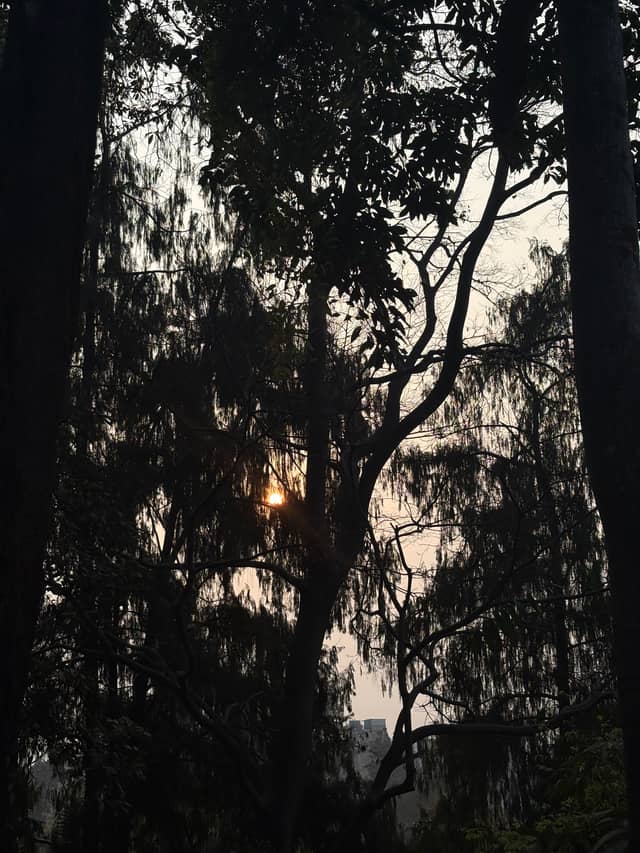Swayambhunath Forest Overlook - Image 1