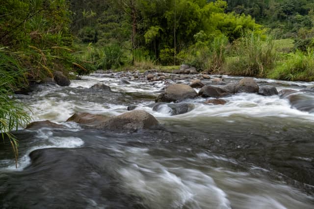 Otún River Rapids - Image 1