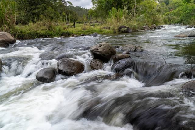 Rio Campoalegre Rapids - Image 1