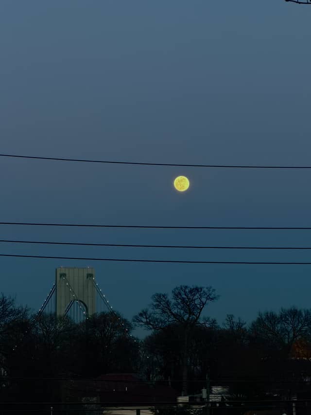 Verrazzano-Narrows Bridge Overlook - Image 1