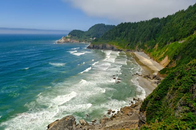 Heceta Head Lighthouse Viewpoint - Image 1