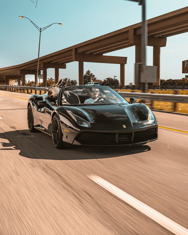 Dallas Highway Interchange - Image 1