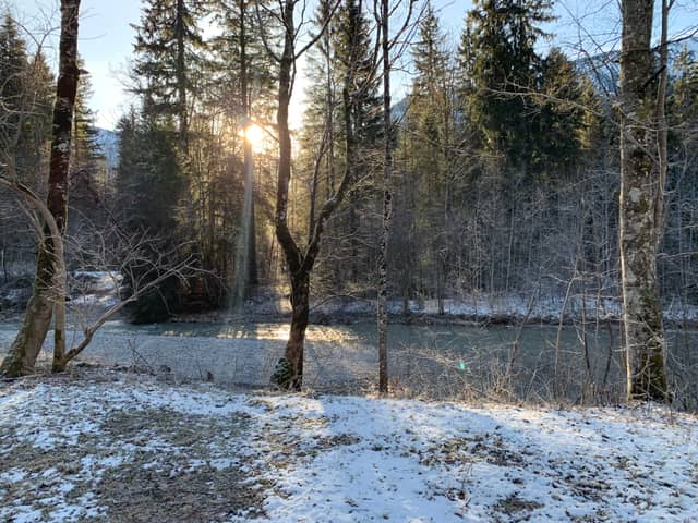 Loisach River Forest - Image 1