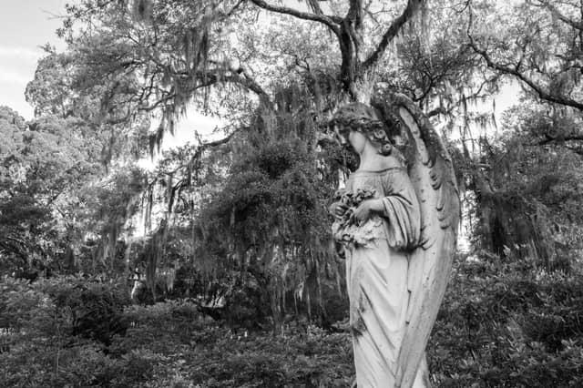 Bonaventure Cemetery - Image 1