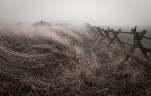 Great Salt Lake Shorelands Preserve - Image 1