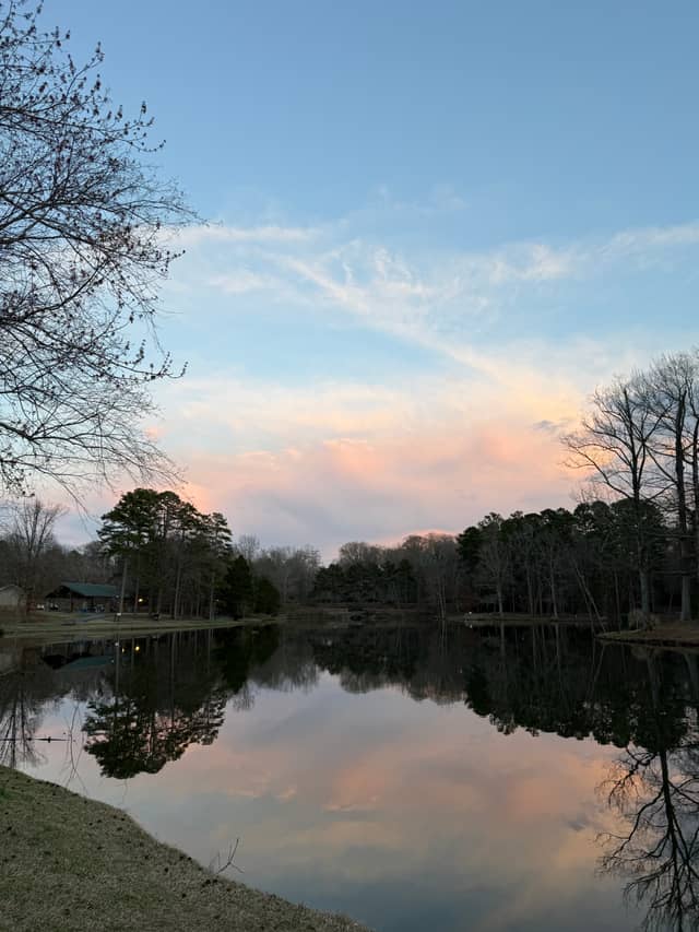 Park Road Park Lake - Image 1