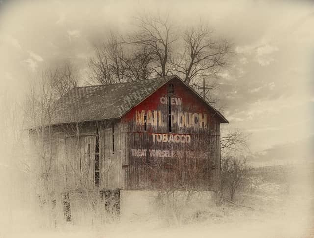 Mail Pouch Tobacco Barn - Image 1