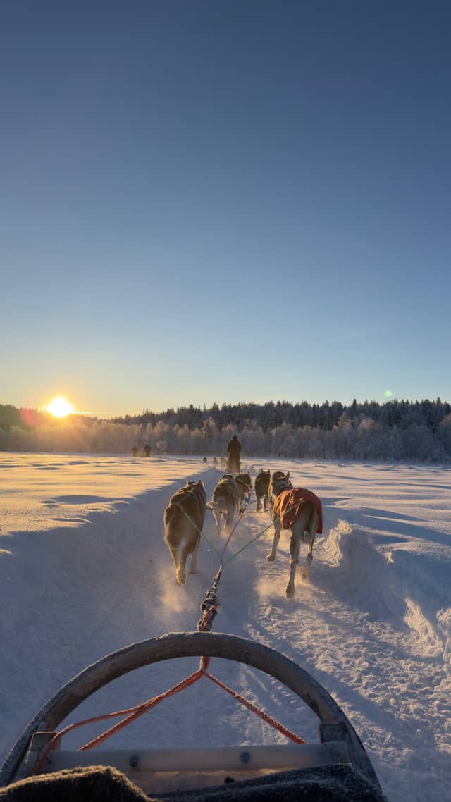 Ivalo Husky Safari Trail - Image 1