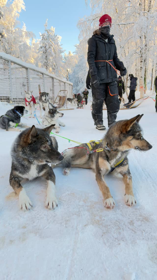 Ivalo Husky Camp - Image 1