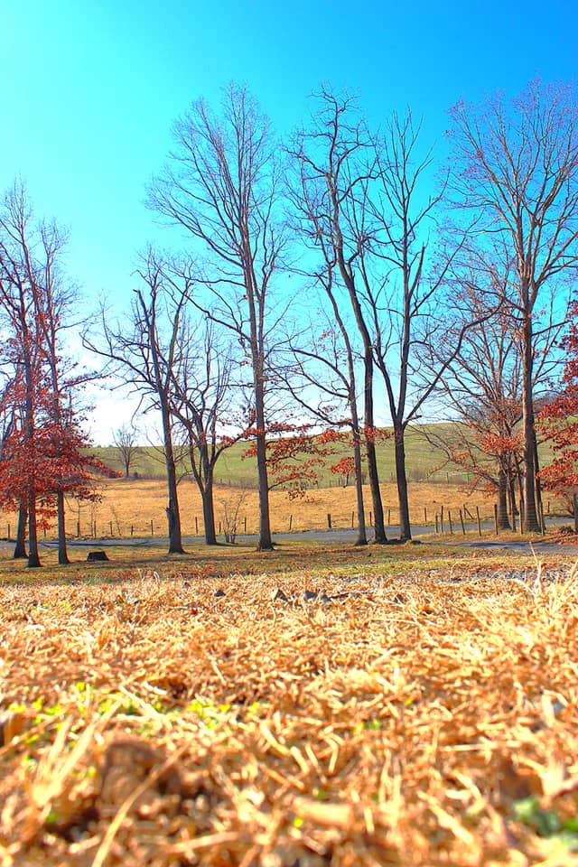 Churchville Rolling Pastures - Image 1