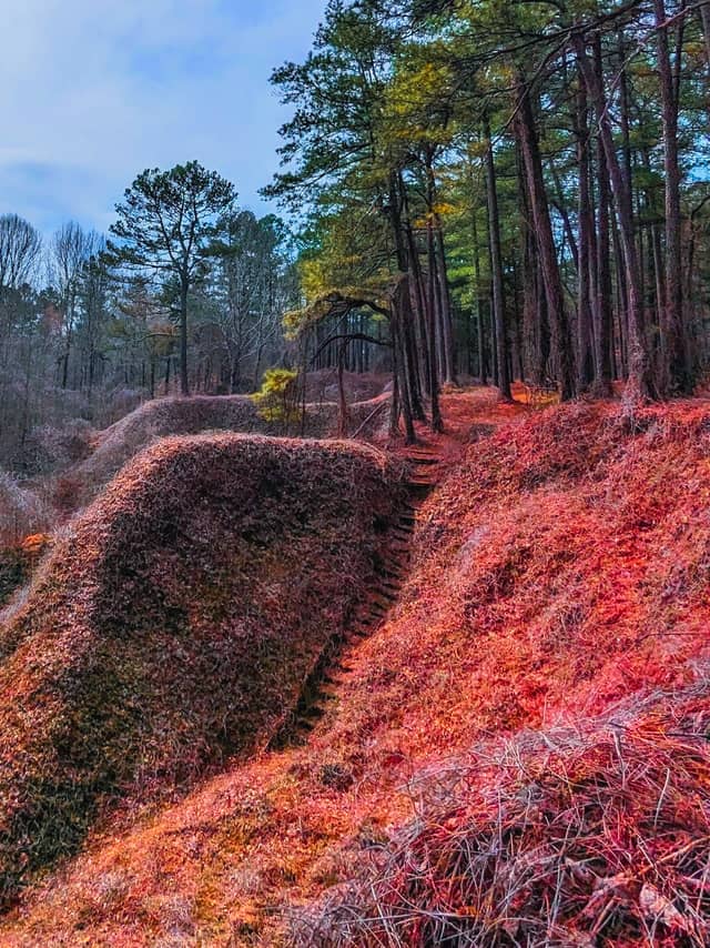 Laquey Forest Ridge - Image 1