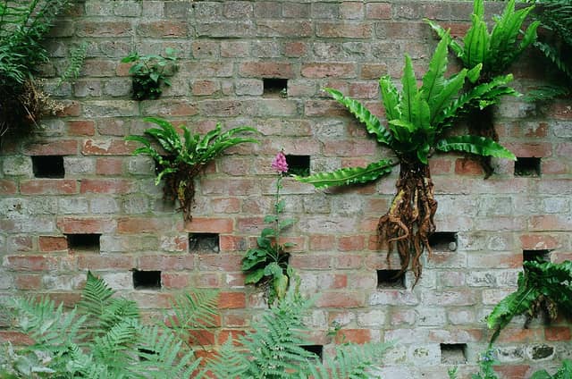 Swain's Lane Botanical Wall - Image 1