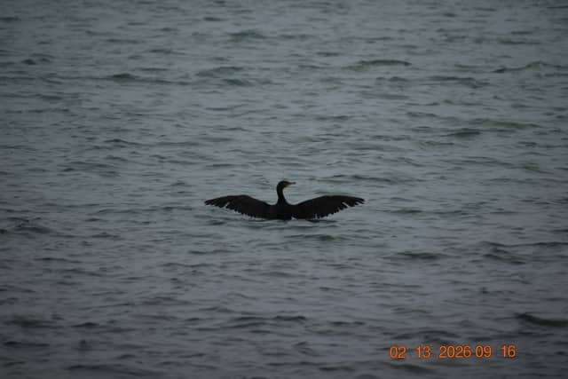Dunedin Causeway - Image 1