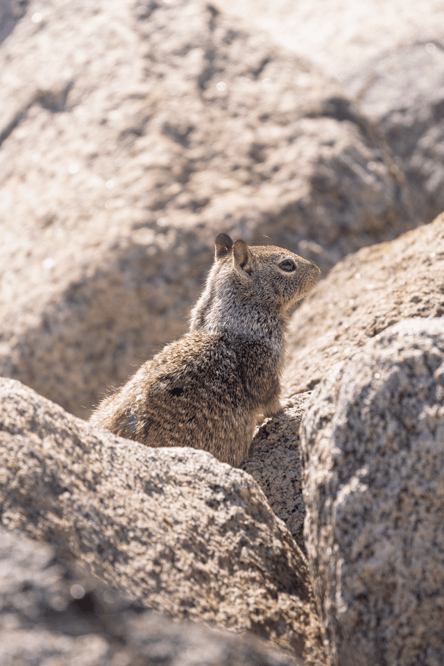 Menifee Rocky Outcrop - Image 1