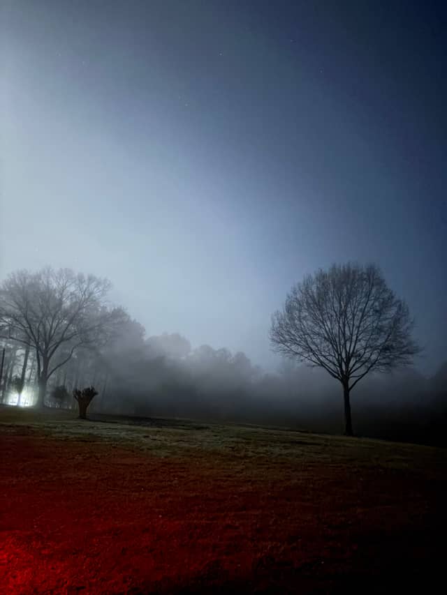 Perkinston Meadow - Image 1