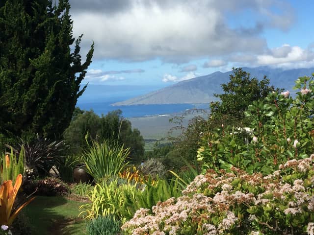 Kula Lodge Garden Overlook - Image 1