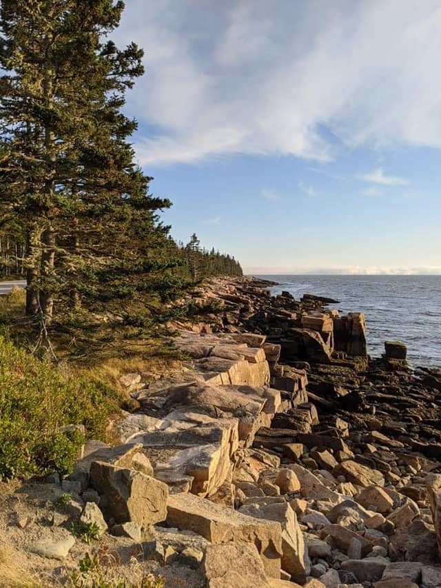 Schoodic Peninsula Coastline - Image 1