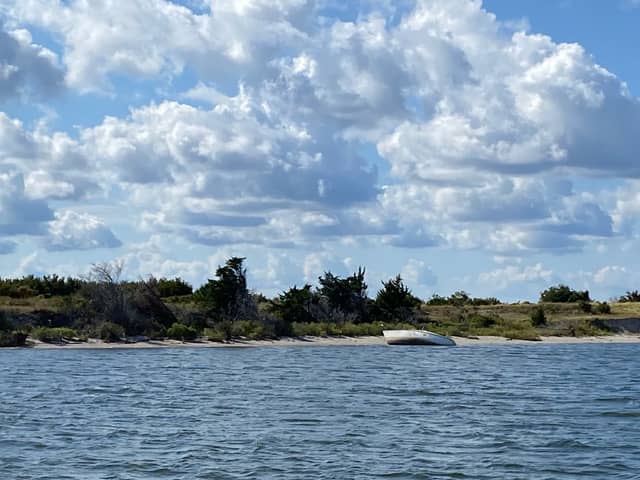 Wanchese Soundside Shoreline - Image 1