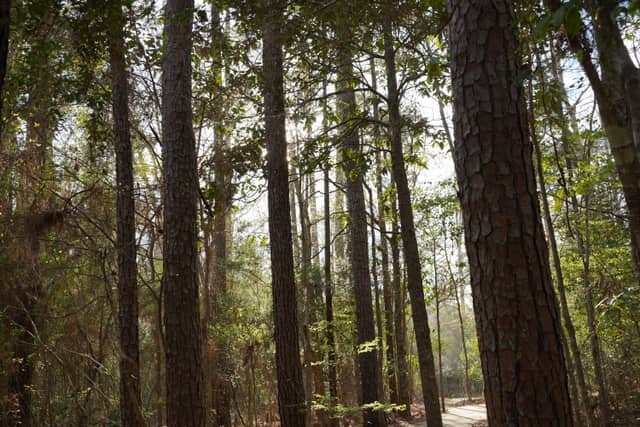 Kirby Nature Trail - Image 1