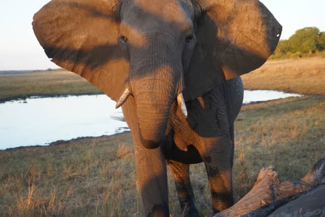 Hwange National Park - Image 2