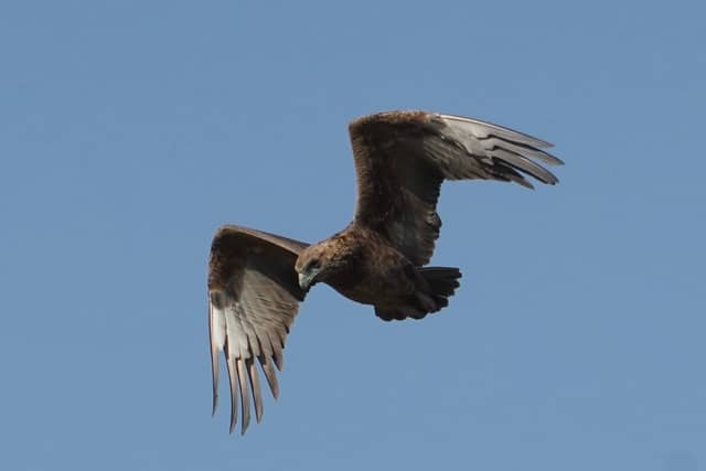 Bwabwata National Park - Image 1