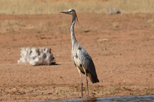 Okonjima Nature Reserve - Image 1