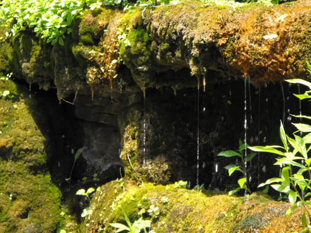 Boerner Botanical Gardens - Image 1