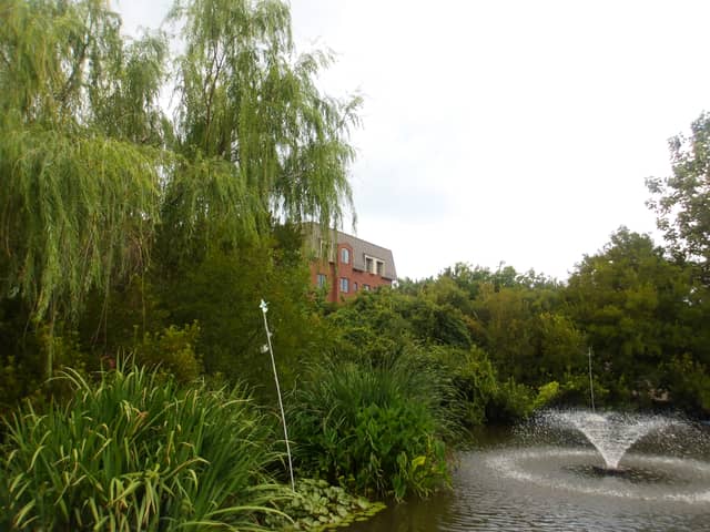 Freemason Harbor Garden Pond - Image 1