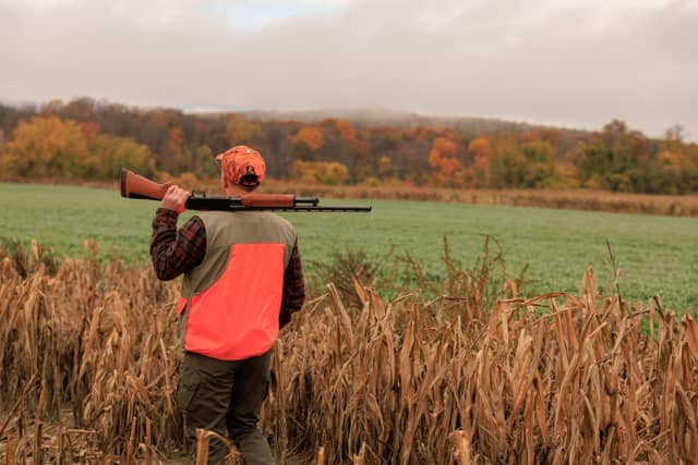 Pioneer Valley Autumn Fields - Image 1