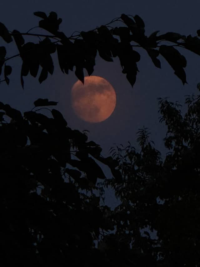 Gardnersville Rural Moonrise - Image 1