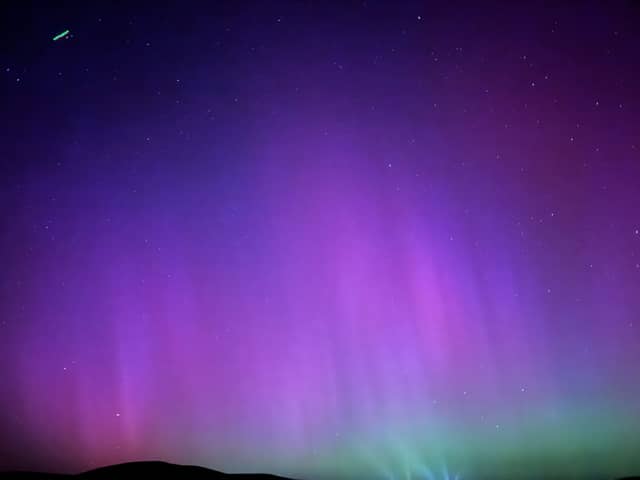 Woodland Rural Night Sky - Image 1