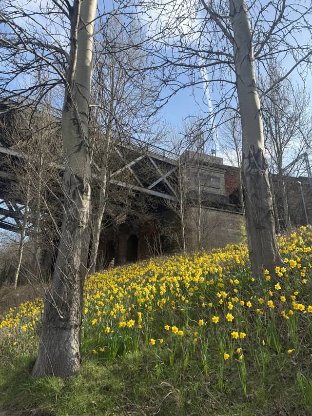 High Level Bridge Embankment - Image 1