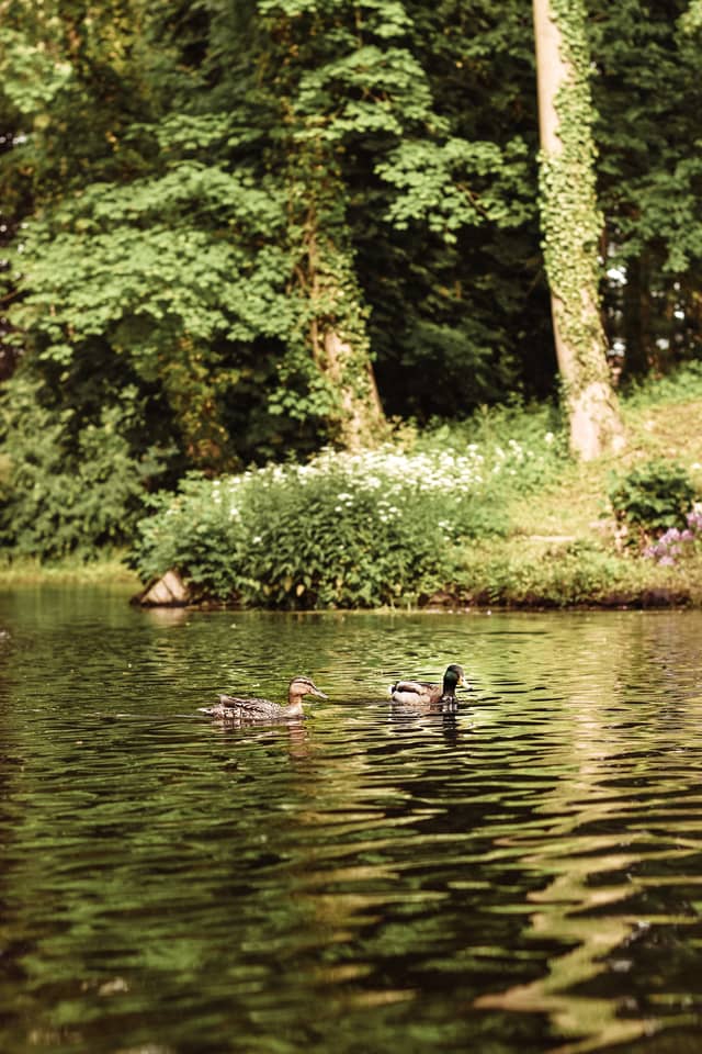 Toutenburgh Castle Park - Image 1