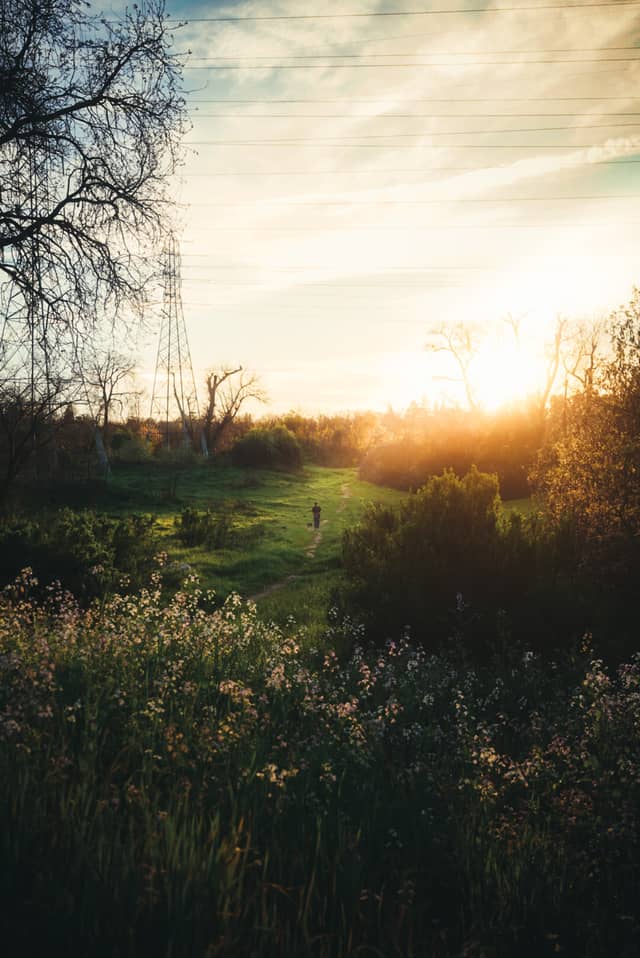American River Parkway Trail - Image 1