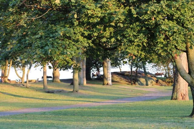 Cove Island Park - Image 1