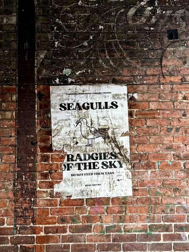 Whitley Bay Back Alleys - Image 1
