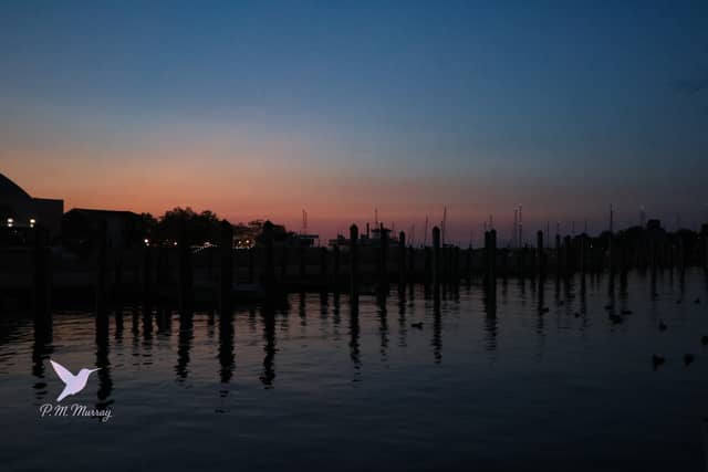 Annapolis City Dock Harbor - Image 2