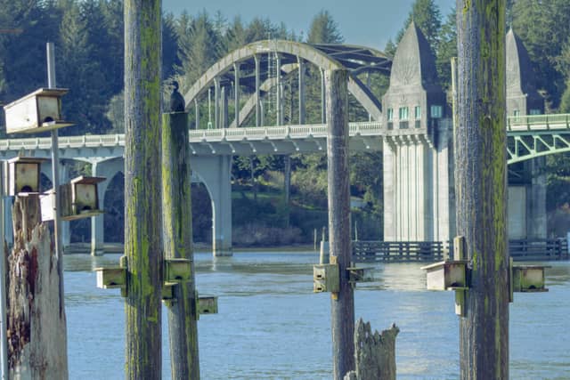 Siuslaw River Bridge - Image 1