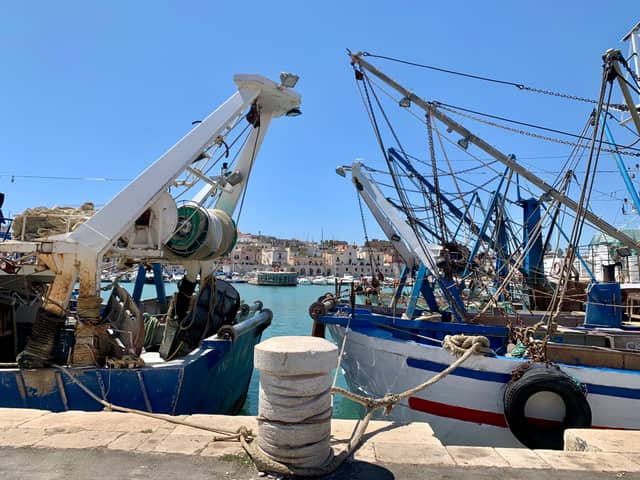 Porto di Bisceglie - Image 1