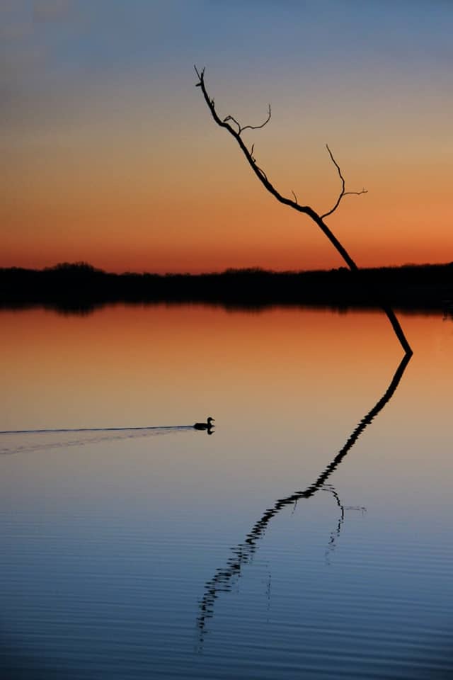 Manasquan Reservoir - Image 1