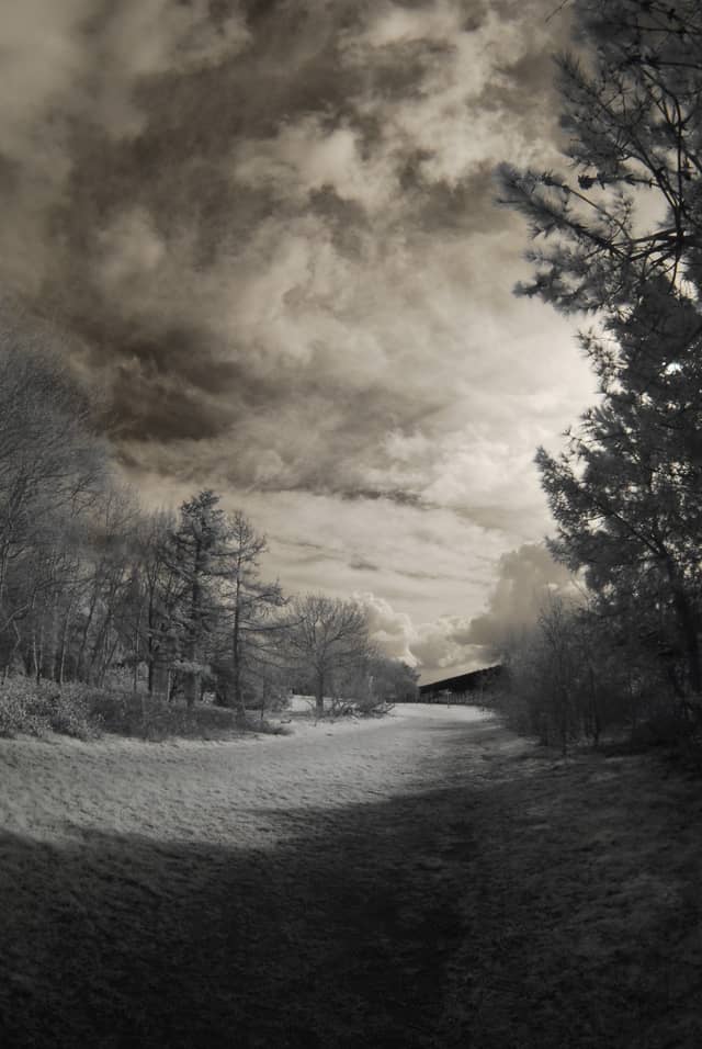 Elmdon Park - Image 1