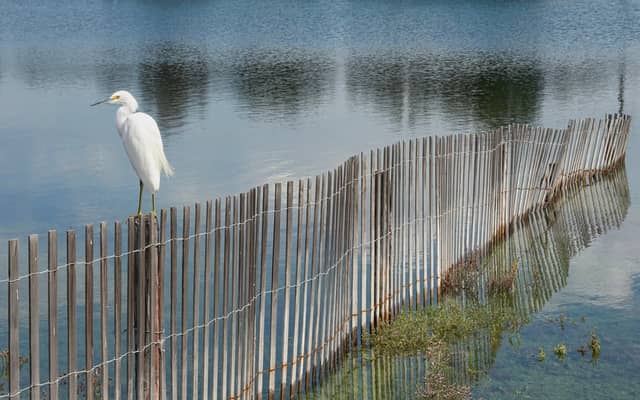 Colorado Lagoon - Image 1
