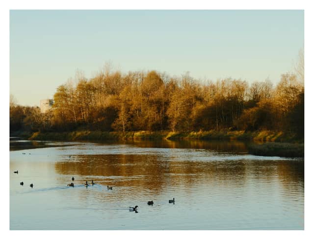River Wear at Fatfield - Image 1