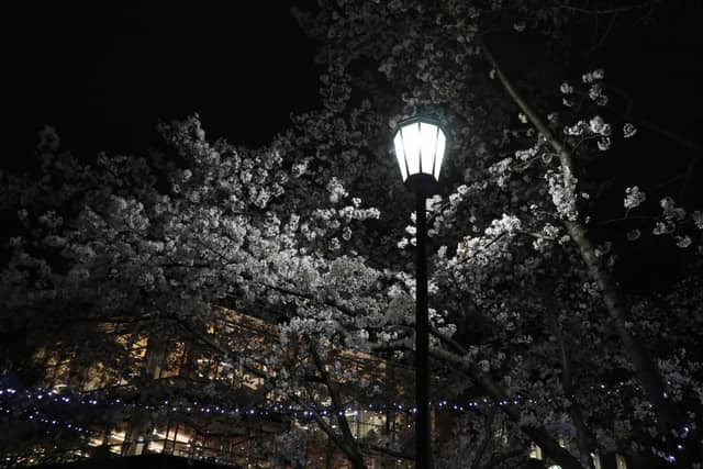 Monroe Park - Image 1