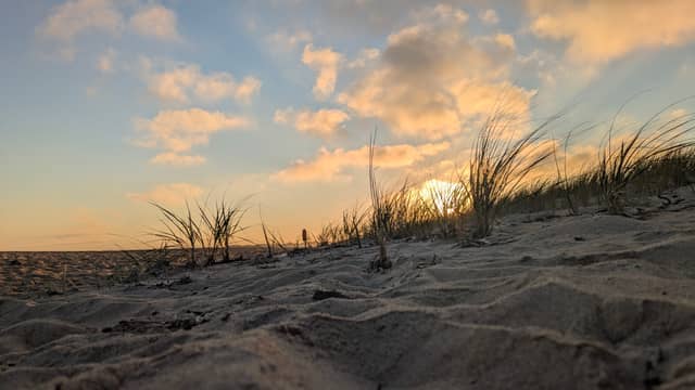 East Beach Dunes - Image 1