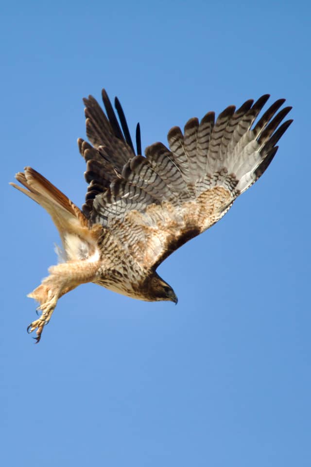 Robbins Butte Wildlife Area - Image 1